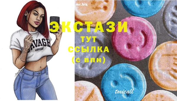 меф Ельня