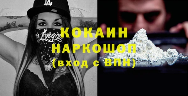 меф Ельня
