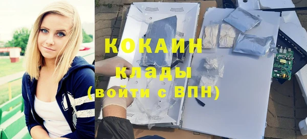 меф Ельня