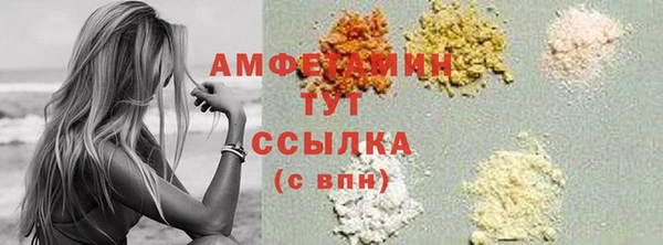 меф Ельня