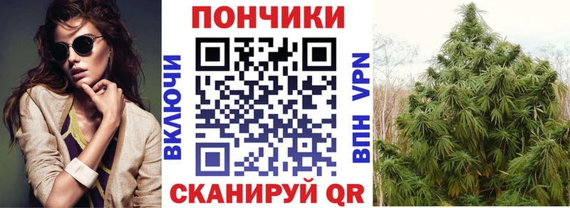 Шишки марихуана ГИДРОПОН  Изобильный 